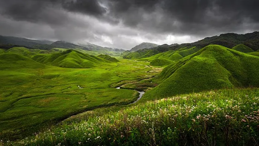 Nagaland with Dzukou Valley Private Trip
