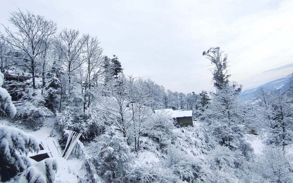 7 Days Tawang Tour Package